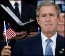 sad bush