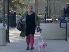 pink poodle